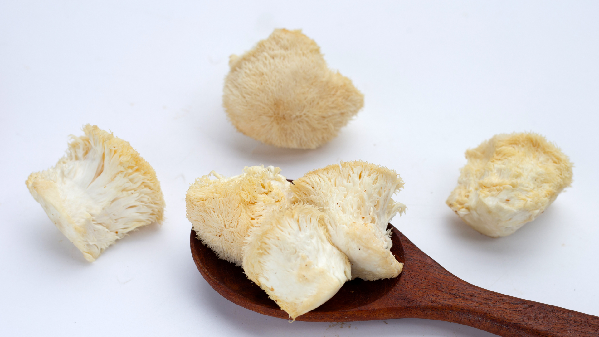Lions Mane