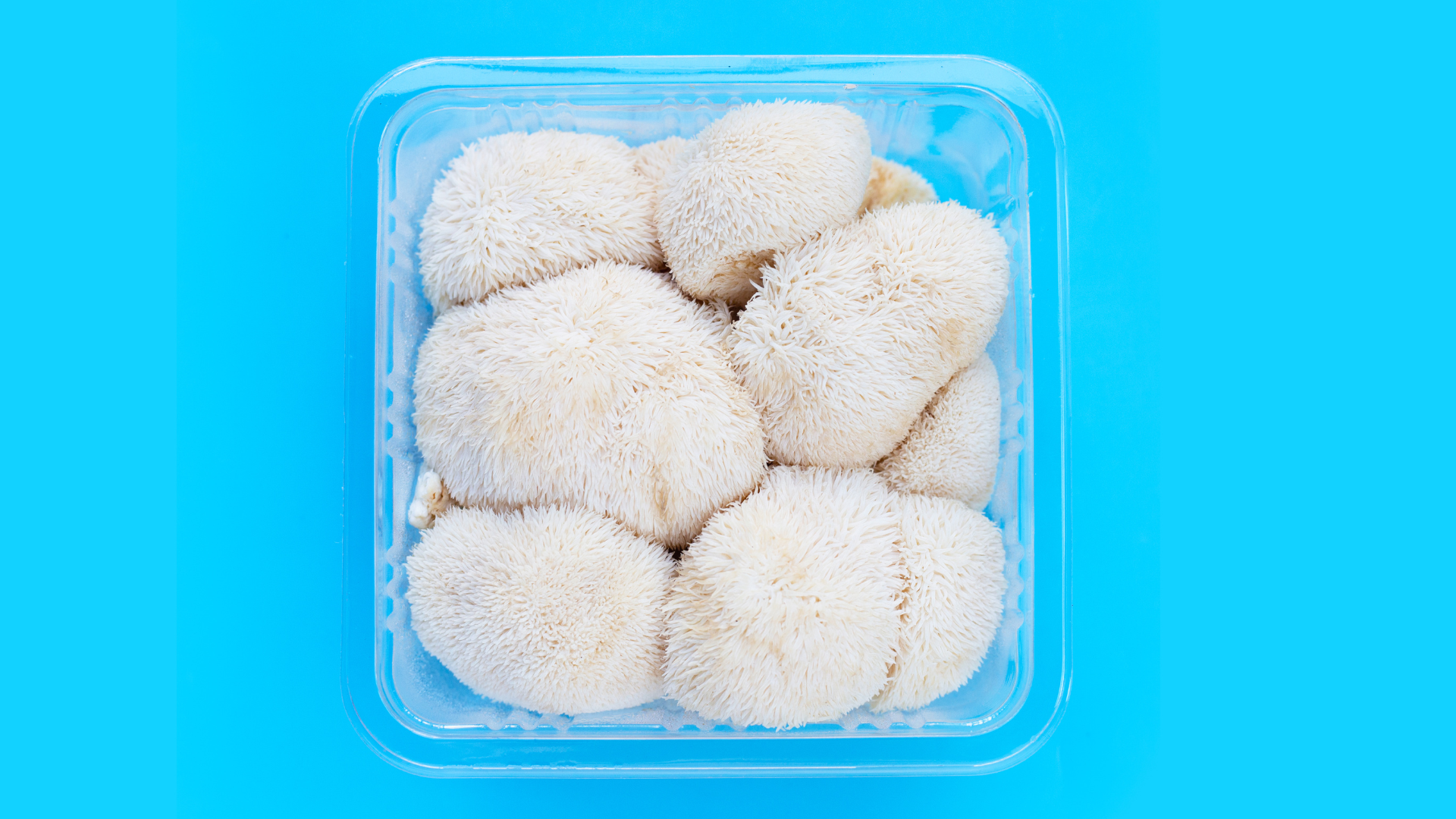 Scientific Research on Lions Mane and Cognitive Function