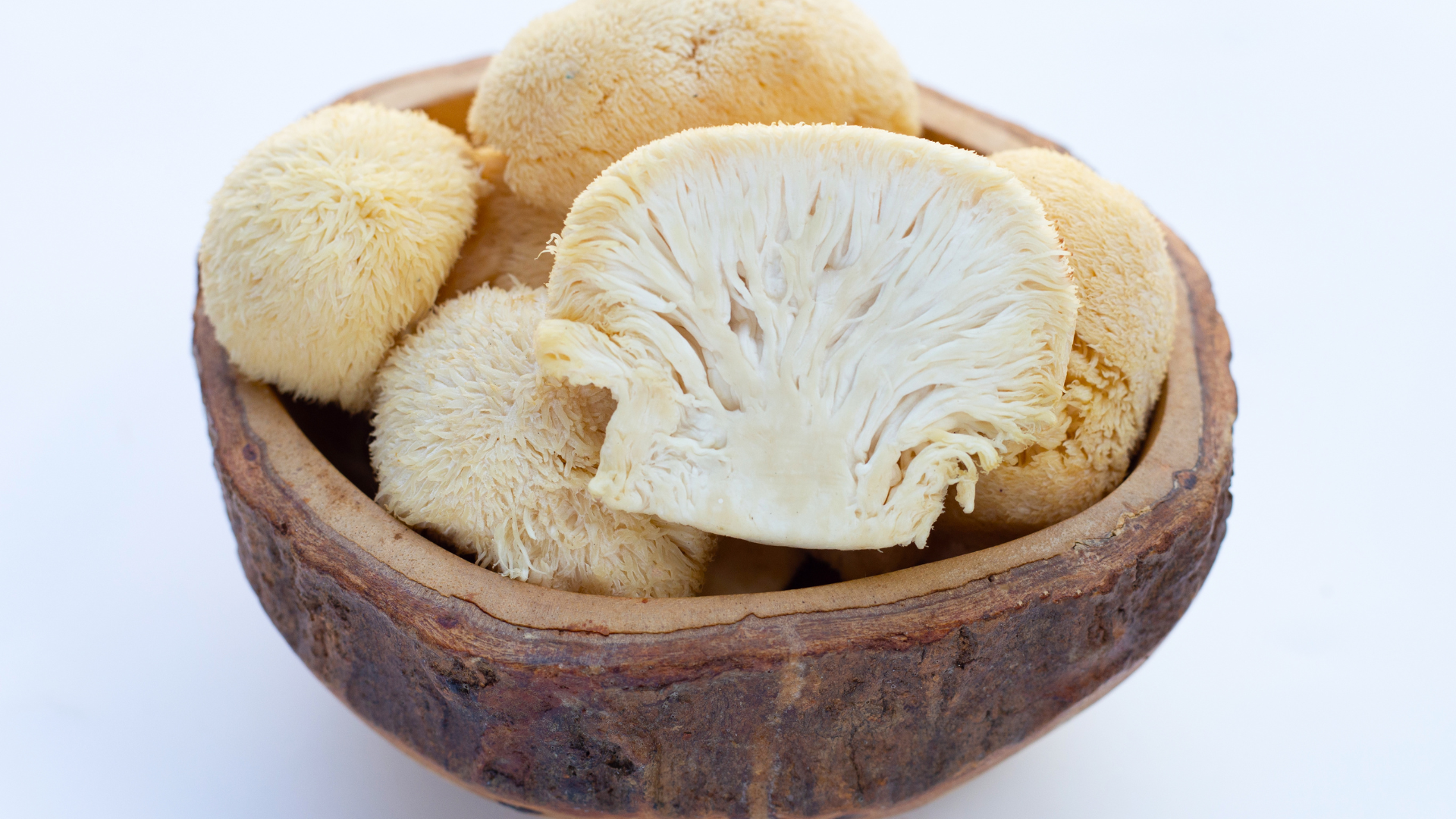 Lions Mane Supports Weight Loss