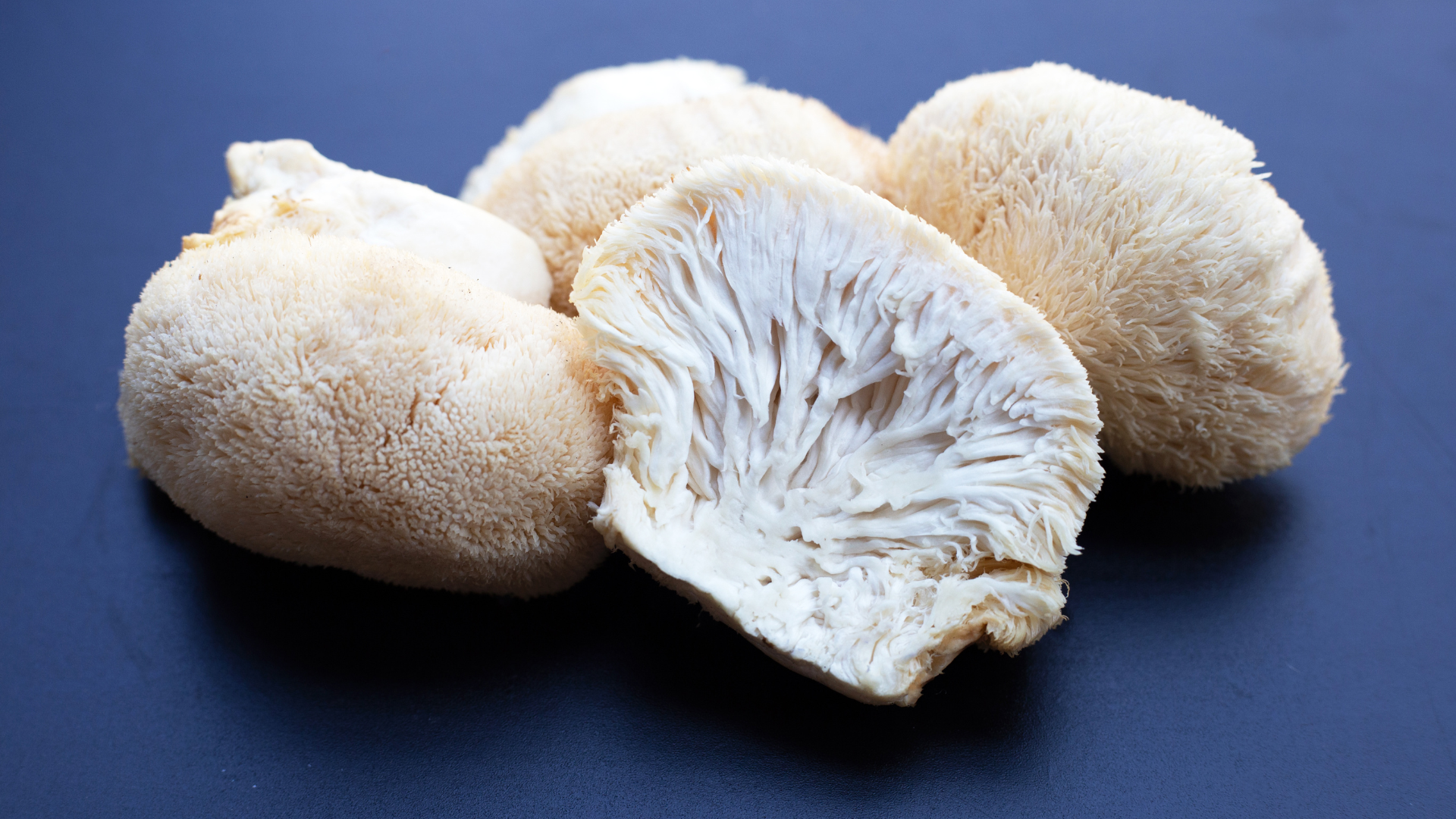Lion's Mane