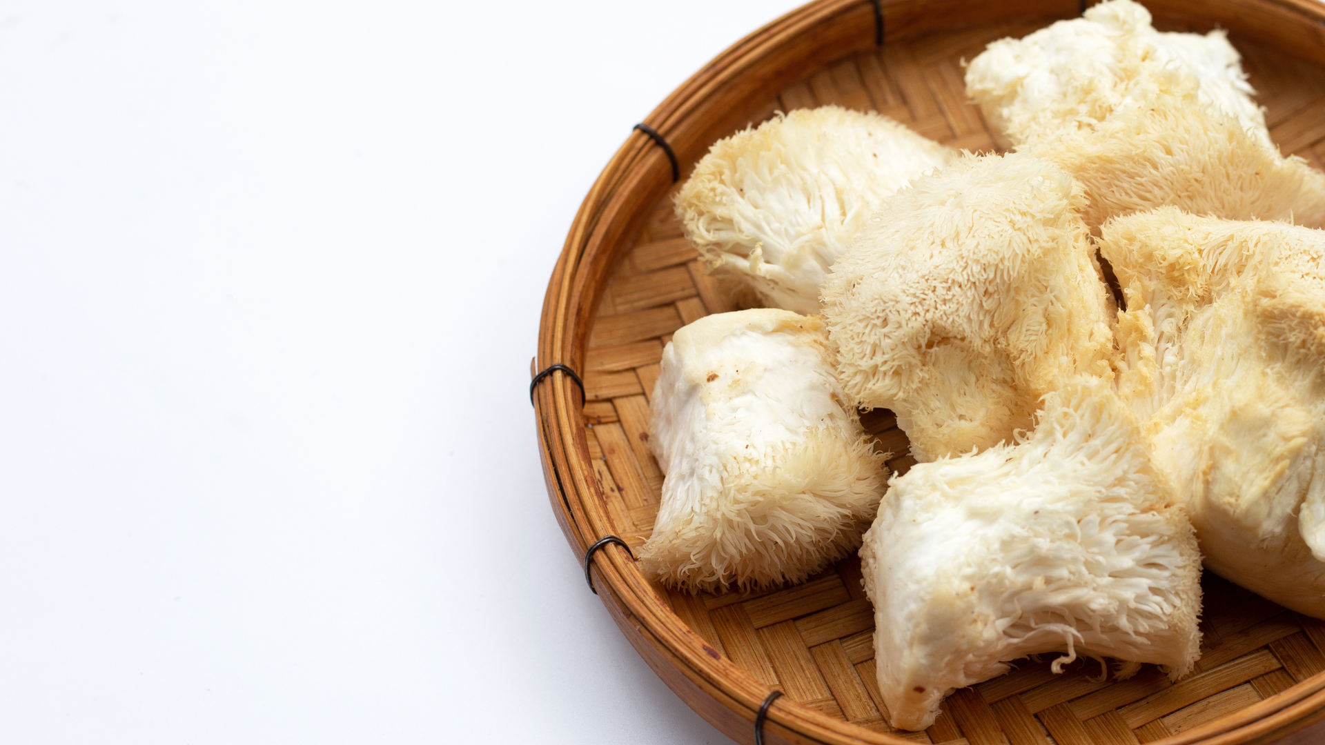Lions Mane